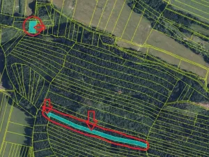 Prodej lesa, Rájec, 5476 m2