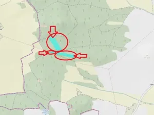 Prodej lesa, Úboč, 13538 m2