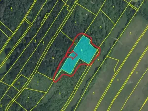 Prodej lesa, Chotiněves, 3854 m2