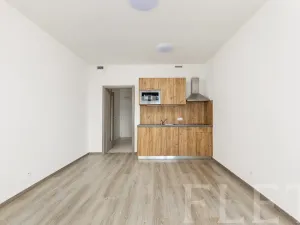 Pronájem bytu 1+kk, Praha - Vršovice, Petrohradská, 30 m2