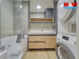 Pronájem bytu 3+kk, Plzeň, Goldscheiderova, 77 m2