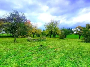 Prodej pozemku pro bydlení, Pecka, 1250 m2