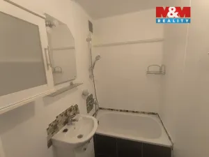 Pronájem bytu 1+kk, Ústí nad Labem - Krásné Březno, Dr. Horákové, 32 m2