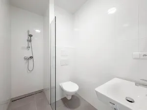 Pronájem bytu 2+kk, Praha - Žižkov, Jeseniova, 54 m2