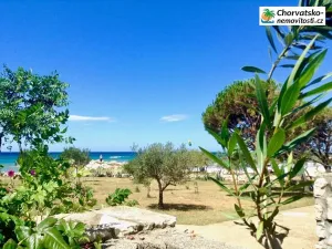 Prodej bytu 1+kk, Gajac, Chorvatsko, 22 m2