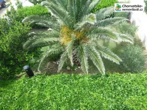 Prodej vily, Povljana, Chorvatsko, 318 m2