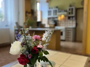 Prodej rodinného domu, Broumov, Na Příkopech, 552 m2