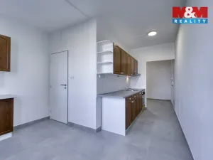 Pronájem bytu 2+1, Plzeň - Doubravka, Na Dlouhých, 58 m2