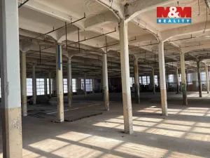 Pronájem výrobních prostor, Děčín, Březová, 1300 m2