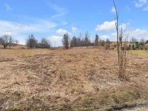 Prodej komerčního pozemku, Bartošovice v Orlických horách, 7647 m2