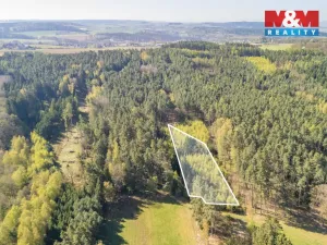 Prodej lesa, Losiná, 2645 m2