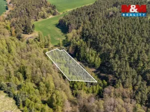 Prodej lesa, Losiná, 2645 m2