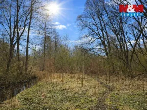 Prodej lesa, Snědovice - Střížovice, 2037 m2