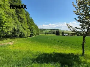 Prodej pozemku pro bydlení, Borová, 5776 m2