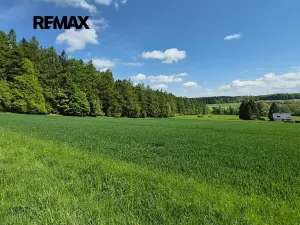 Prodej pozemku pro bydlení, Borová, 7429 m2