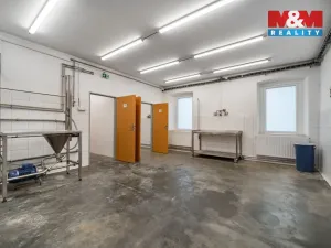 Pronájem výrobních prostor, Albrechtice, 98 m2