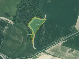 Prodej pole, Bor, 14739 m2