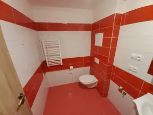 Prodej bytu 1+kk, Dubňany, 40 m2