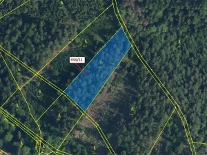 Dražba lesa, Jílové u Držkova, 3439 m2