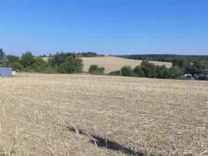 Dražba pozemku pro bydlení, Kožlany, 2631 m2