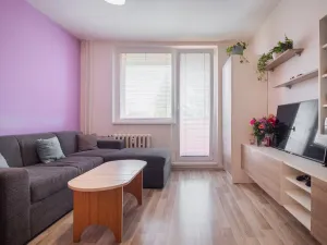 Prodej bytu 1+1, Olomouc - Nová Ulice, Hraniční, 34 m2