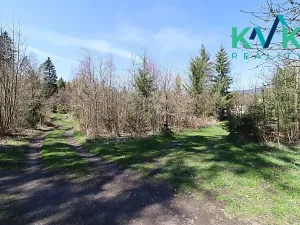 Prodej chaty, Nová Role, 43 m2