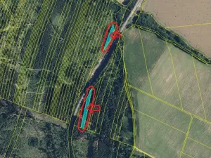Prodej podílu lesa, Nová Hradečná, 2498 m2