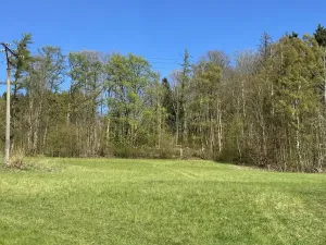 Prodej lesa, Loužnice, 5723 m2