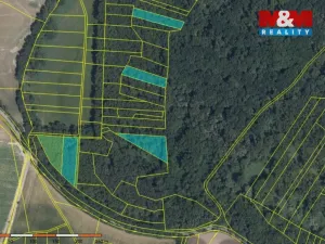 Prodej lesa, Přerov nad Labem, 70048 m2