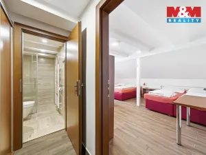 Prodej ubytování, Čenkovice, 297 m2