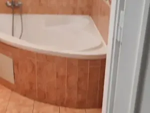 Pronájem bytu 2+kk, Praha - Žižkov, Jana Želivského, 56 m2