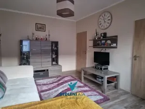 Prodej bytu 2+1, Teplice, Štúrova, 56 m2