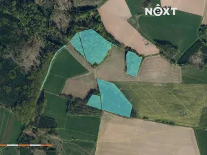 Prodej lesa, Věž, 41070 m2