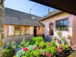 Prodej chalupy, Ledečko, 257 m2