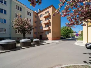 Prodej bytu 2+1, Olomouc, Wolkerova, 60 m2