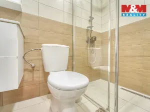 Prodej rodinného domu, Chotěšov, Starý mlýn, 353 m2