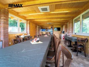 Prodej komerční nemovitosti, Chrášťany, 10917 m2