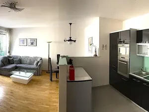 Pronájem bytu 3+kk, Praha - Žižkov, Pod Parukářkou, 75 m2