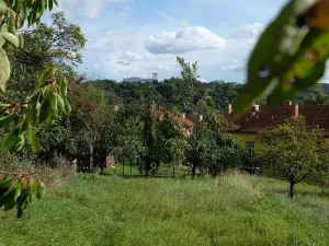 Prodej zahrady, Bojkovice, 1208 m2