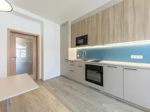 Pronájem bytu 2+kk, Praha - Nusle, Svatoslavova, 37 m2