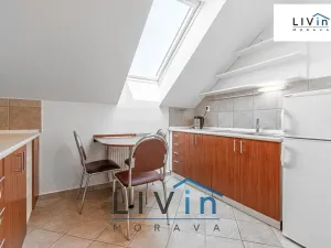 Pronájem bytu 3+1, Olomouc, Jiráskova, 85 m2