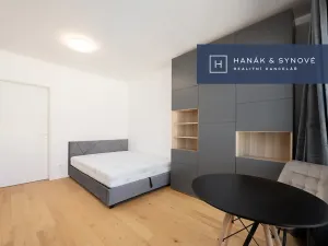 Pronájem bytu 1+kk, Brno, Bratislavská, 23 m2
