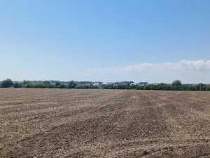 Prodej pozemku pro bydlení, Horka nad Moravou, 43000 m2