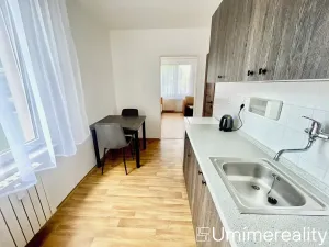 Pronájem bytu 1+1, Mladá Boleslav, Zalužanská, 42 m2