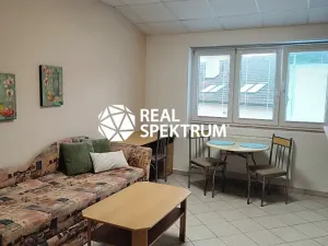 Pronájem bytu 1+kk, Boskovice, Bezručova, 24 m2
