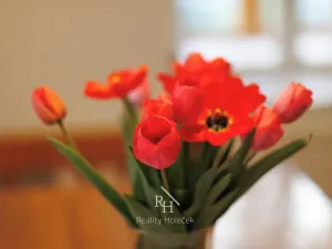 Prodej rodinného domu, Evaň, 73 m2