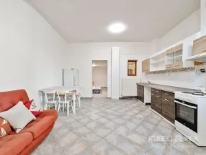 Prodej obchodního prostoru, Kamenice nad Lipou, Dobšova, 270 m2