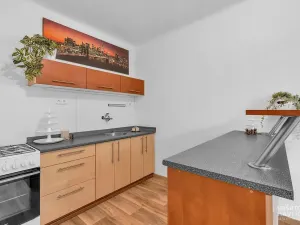 Prodej bytu 1+1, Hradec Králové, Horova, 44 m2