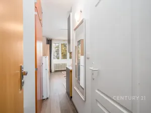 Pronájem bytu 1+kk, Ústí nad Labem, Větrná, 20 m2