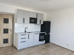 Pronájem bytu 2+kk, Praha - Žižkov, Basilejské náměstí, 52 m2